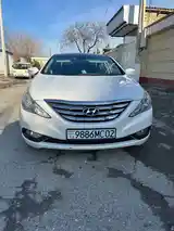 Hyundai Sonata, 2010-7