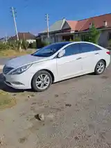 Hyundai Sonata, 2010-4