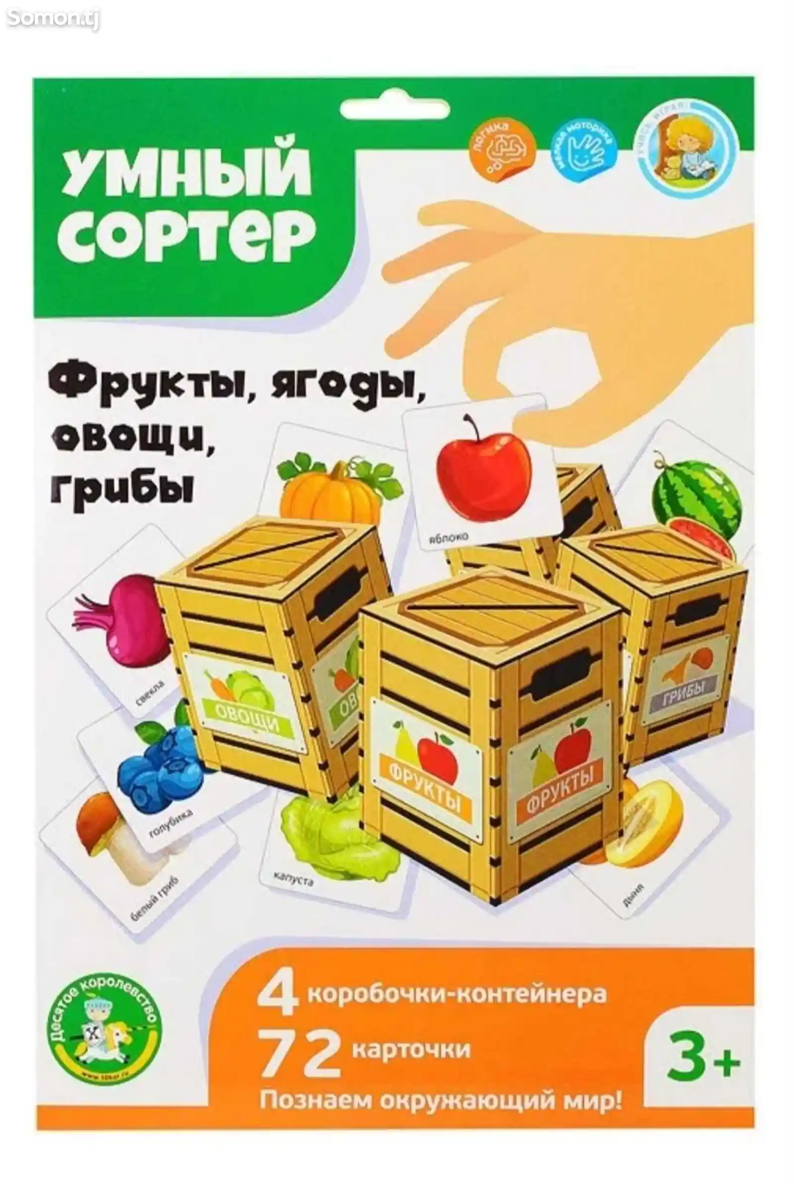 Сортер овощи и фрукты-2