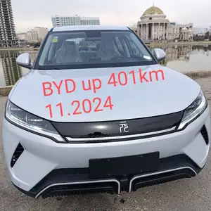 BYD Yuan Up, 2024