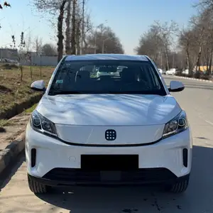 Dongfeng Forthing, 2024