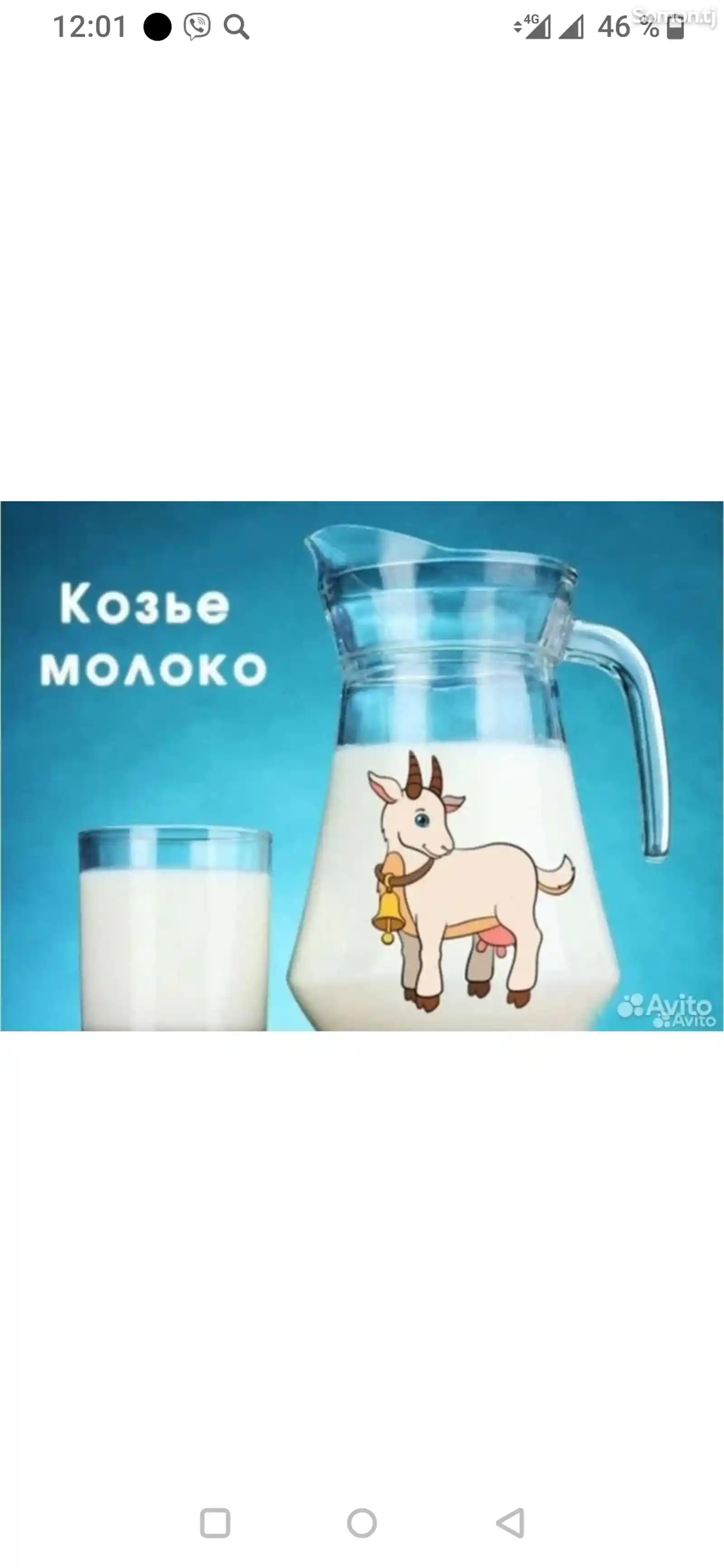 Козье молоко-1