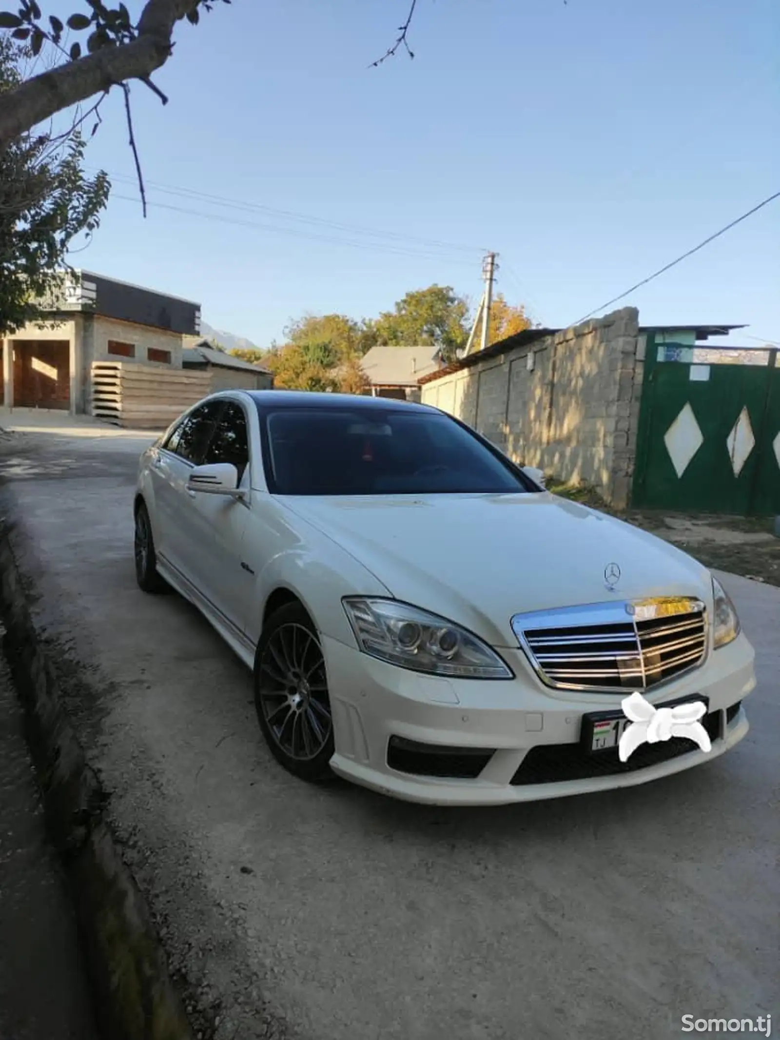 Mercedes-Benz S class, 2007-1