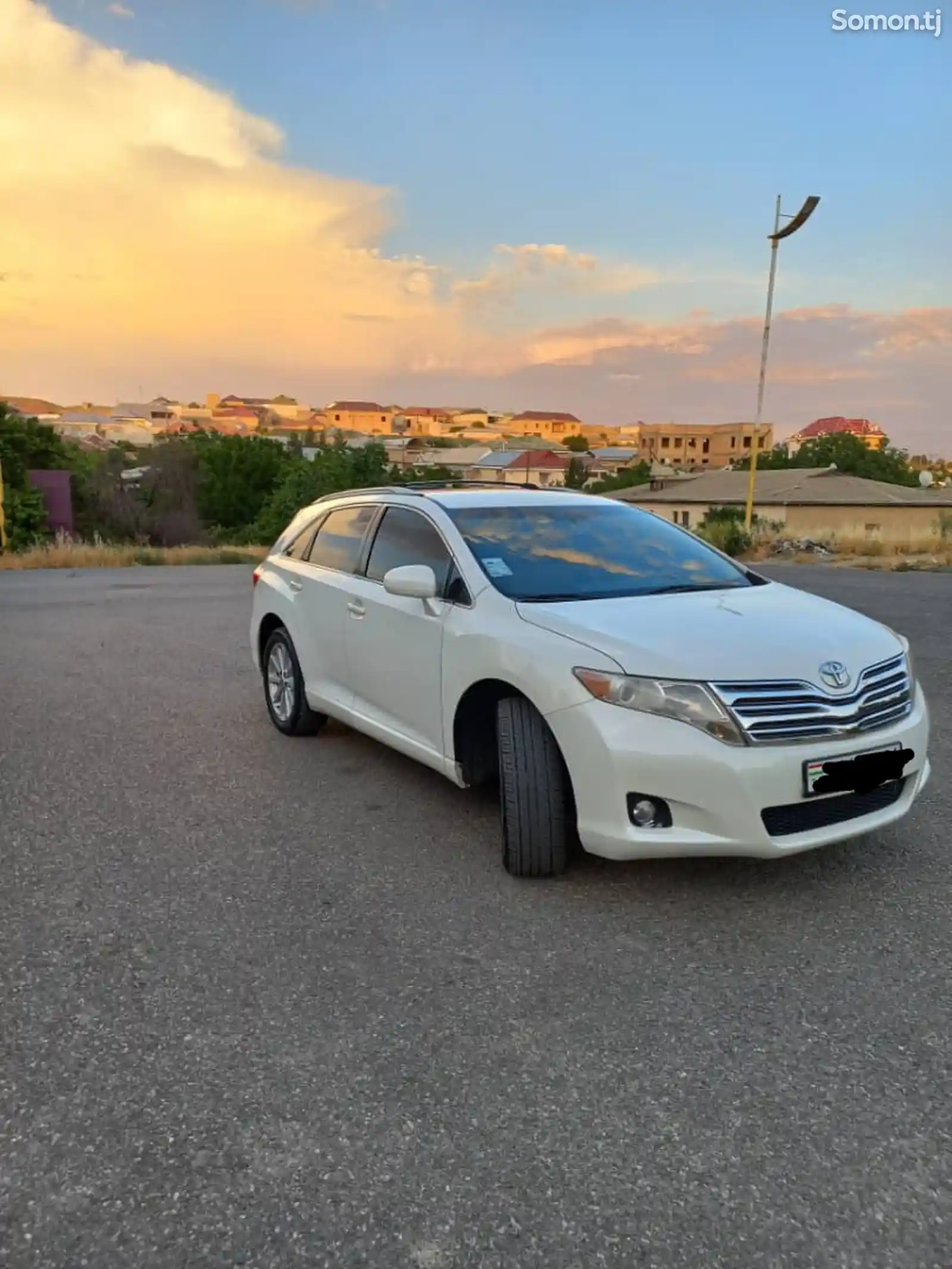 Toyota Venza, 2009-3