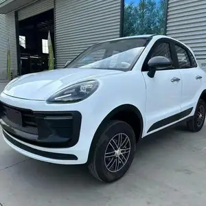 Porsche Cayenne, 2024