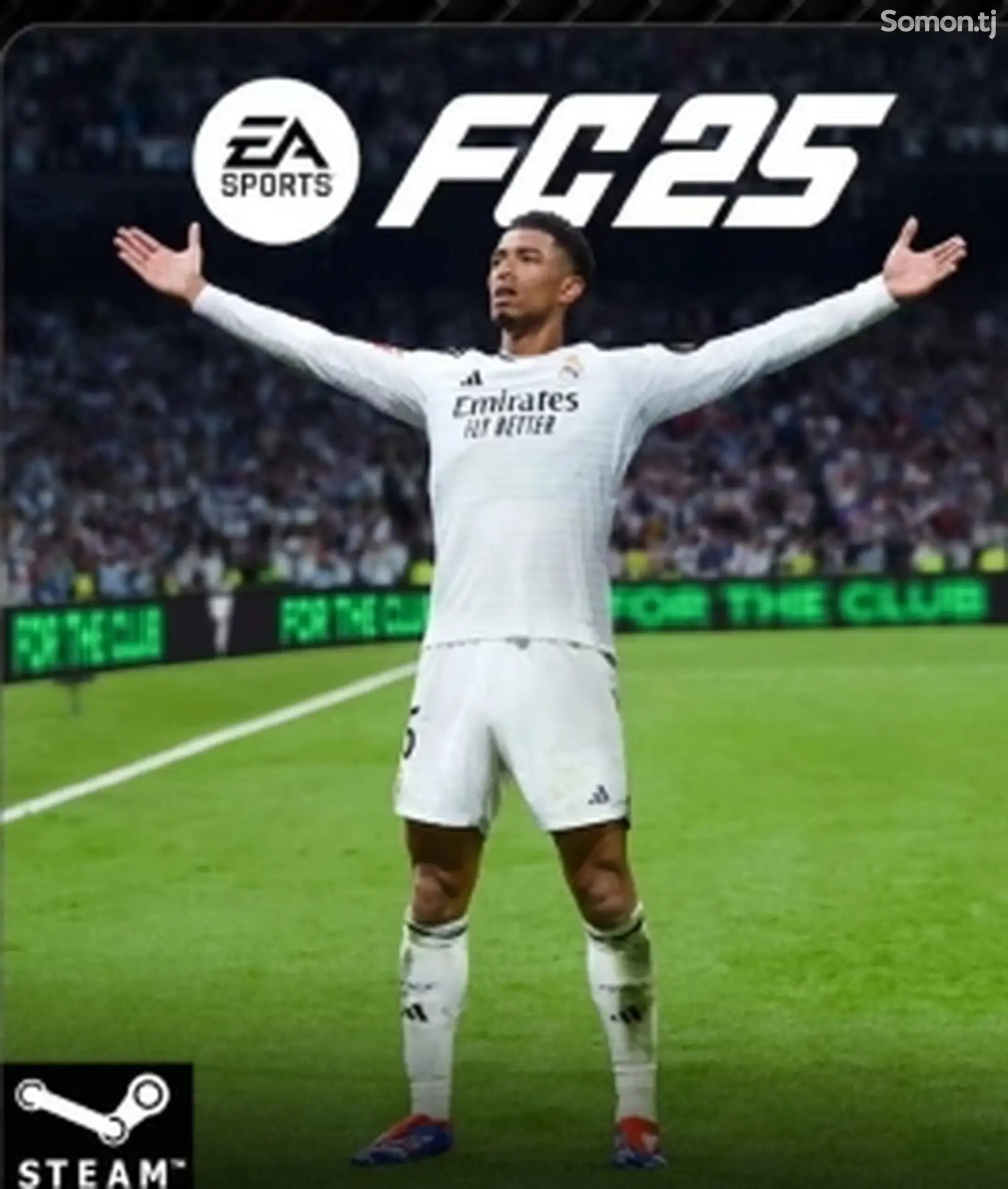 Игра FIFA 25