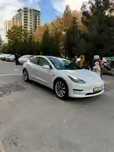 Tesla Model 3, 2020-3