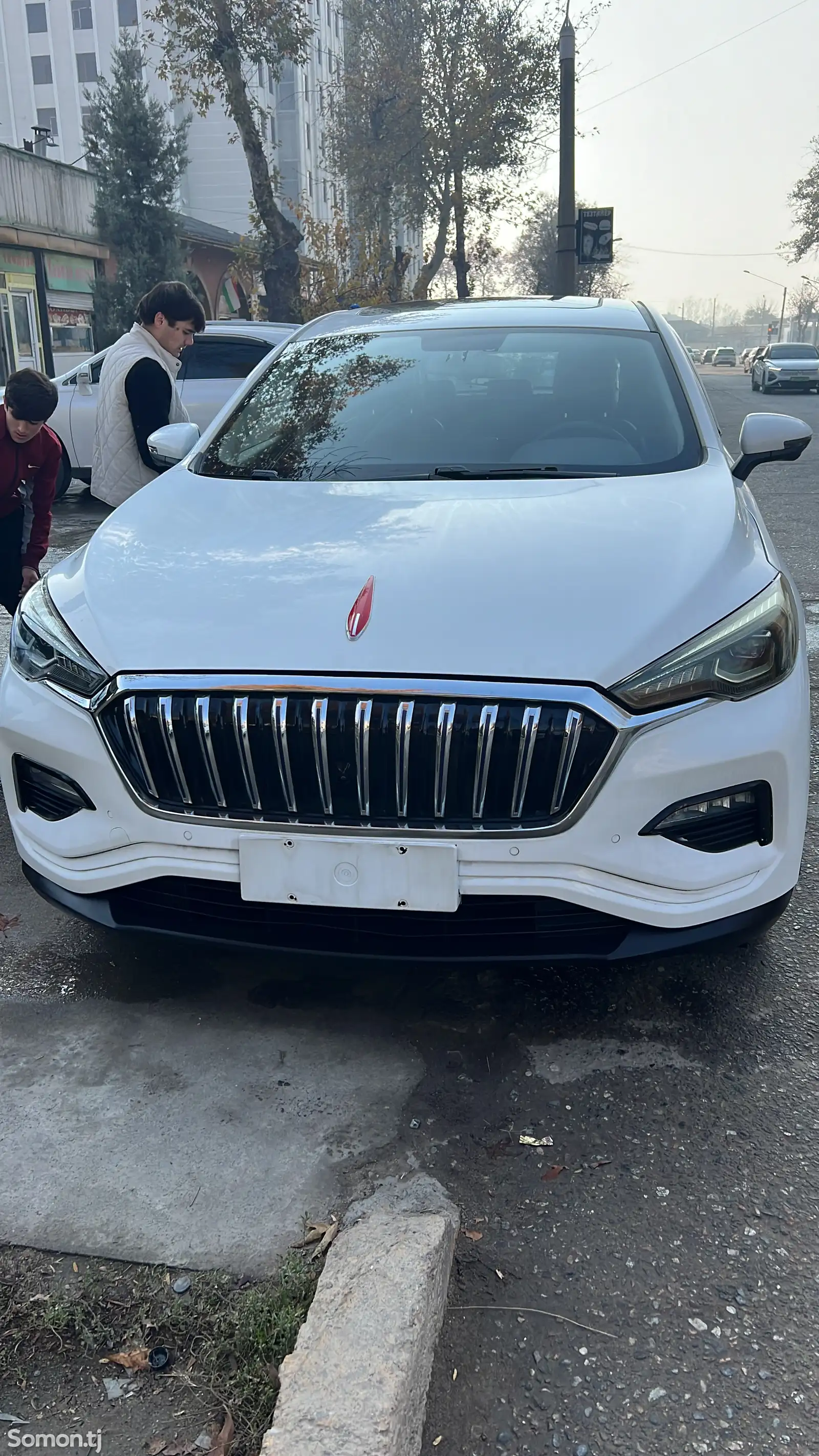 Hongqi E-HS3, 2019-1