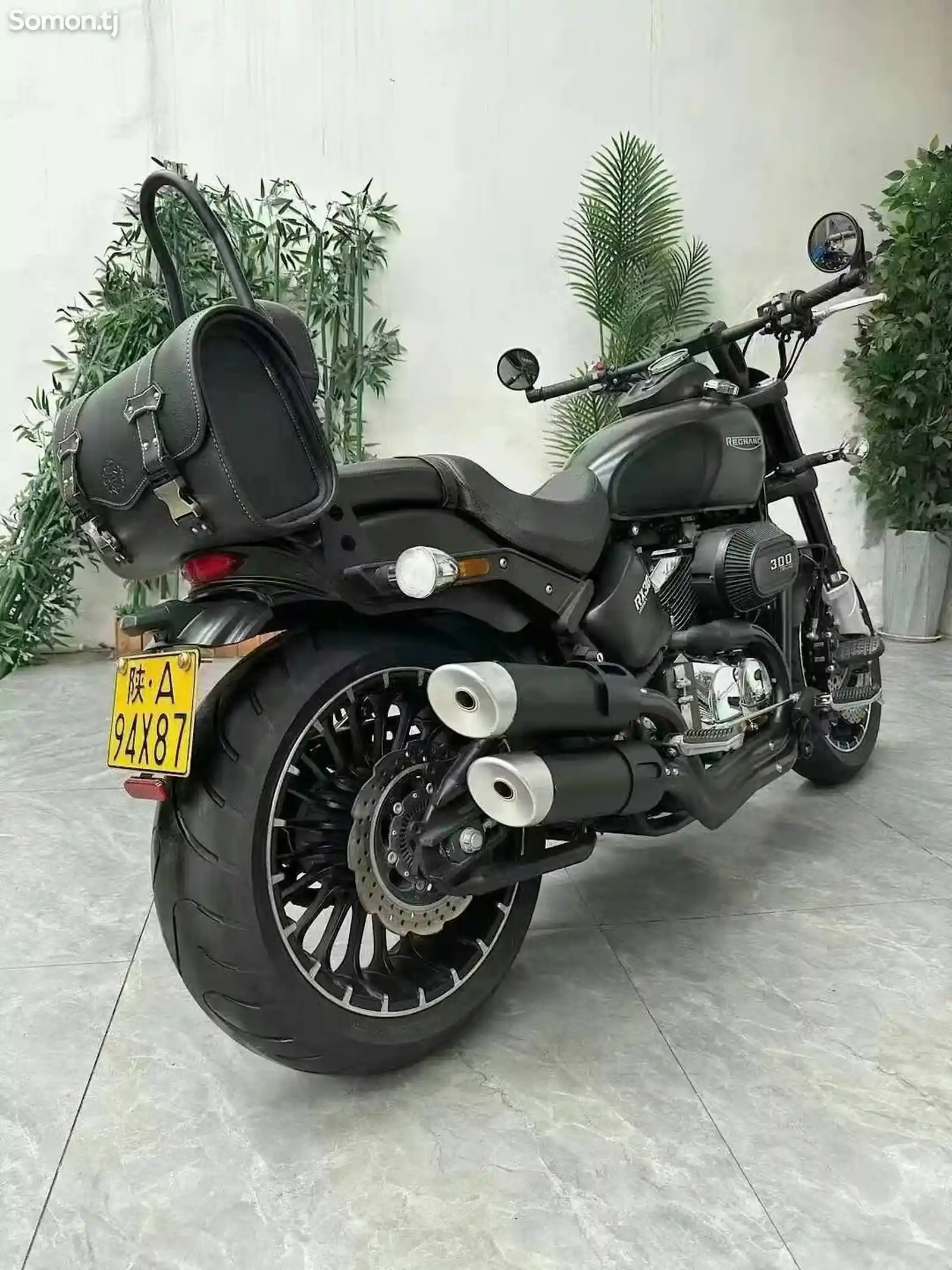 Мотоцикл Regnancy RX300 ABS на заказ-6