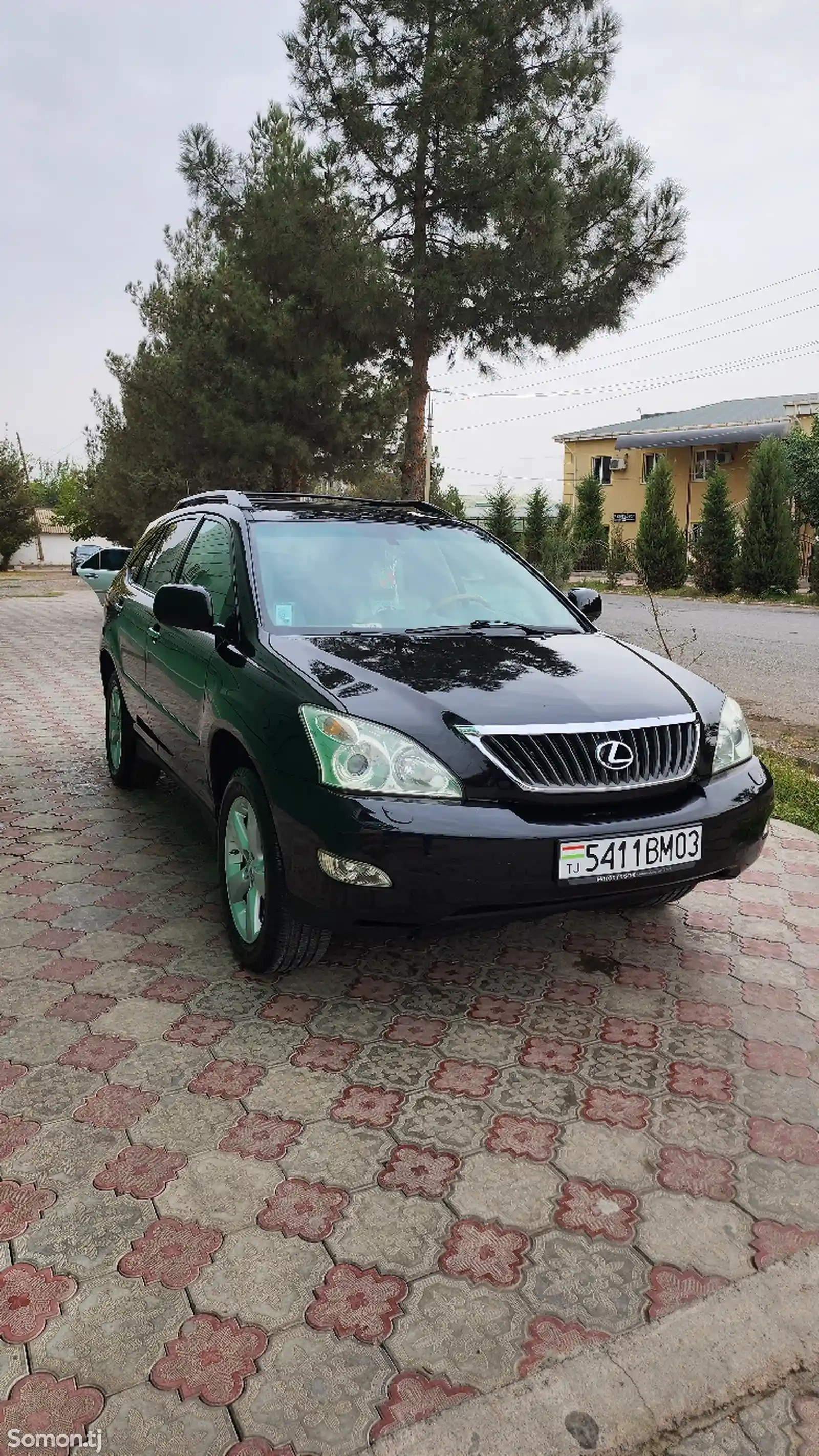 Lexus RX series, 2007-3