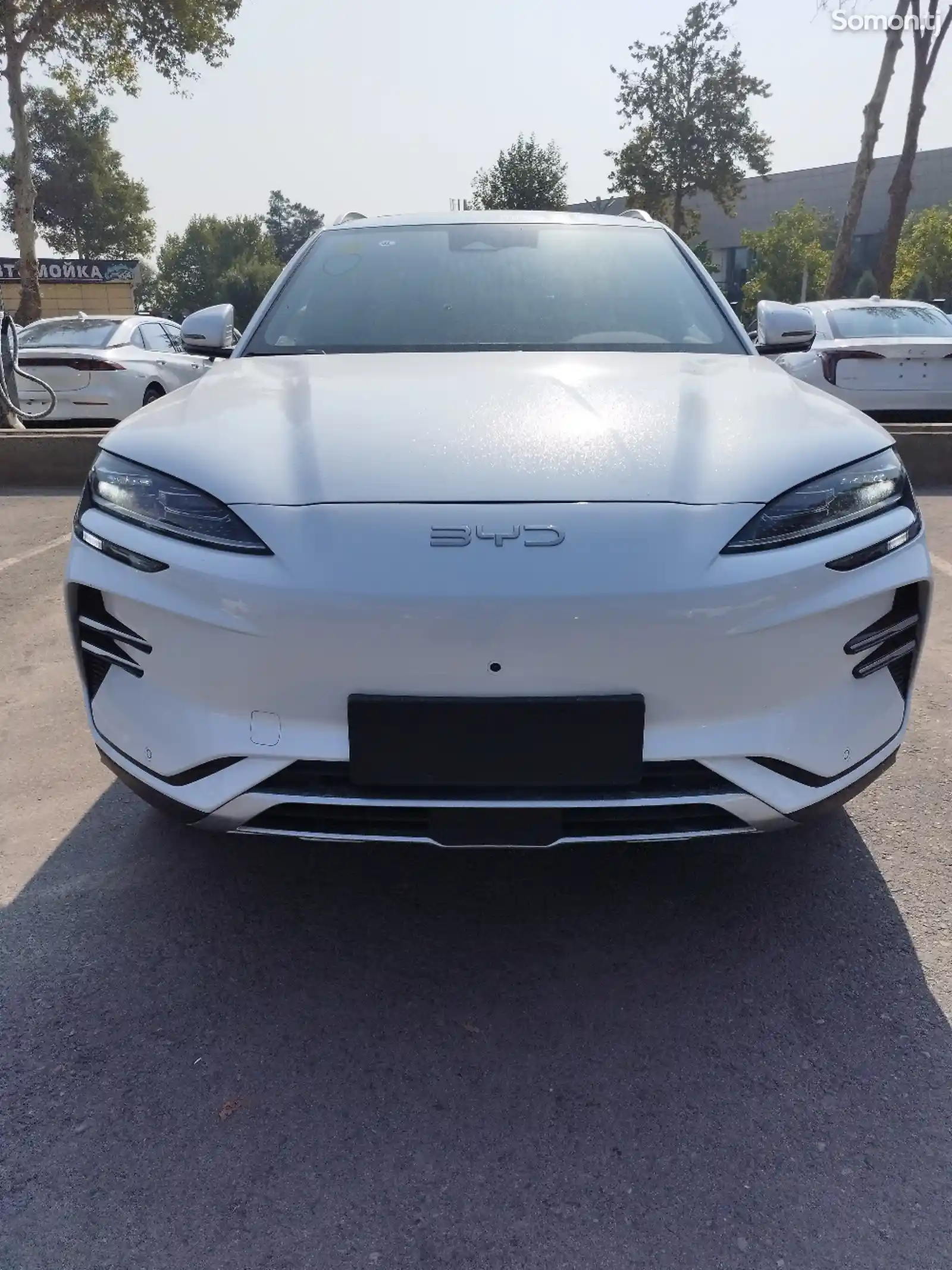 BYD Song Plus Flagship, 2024-1