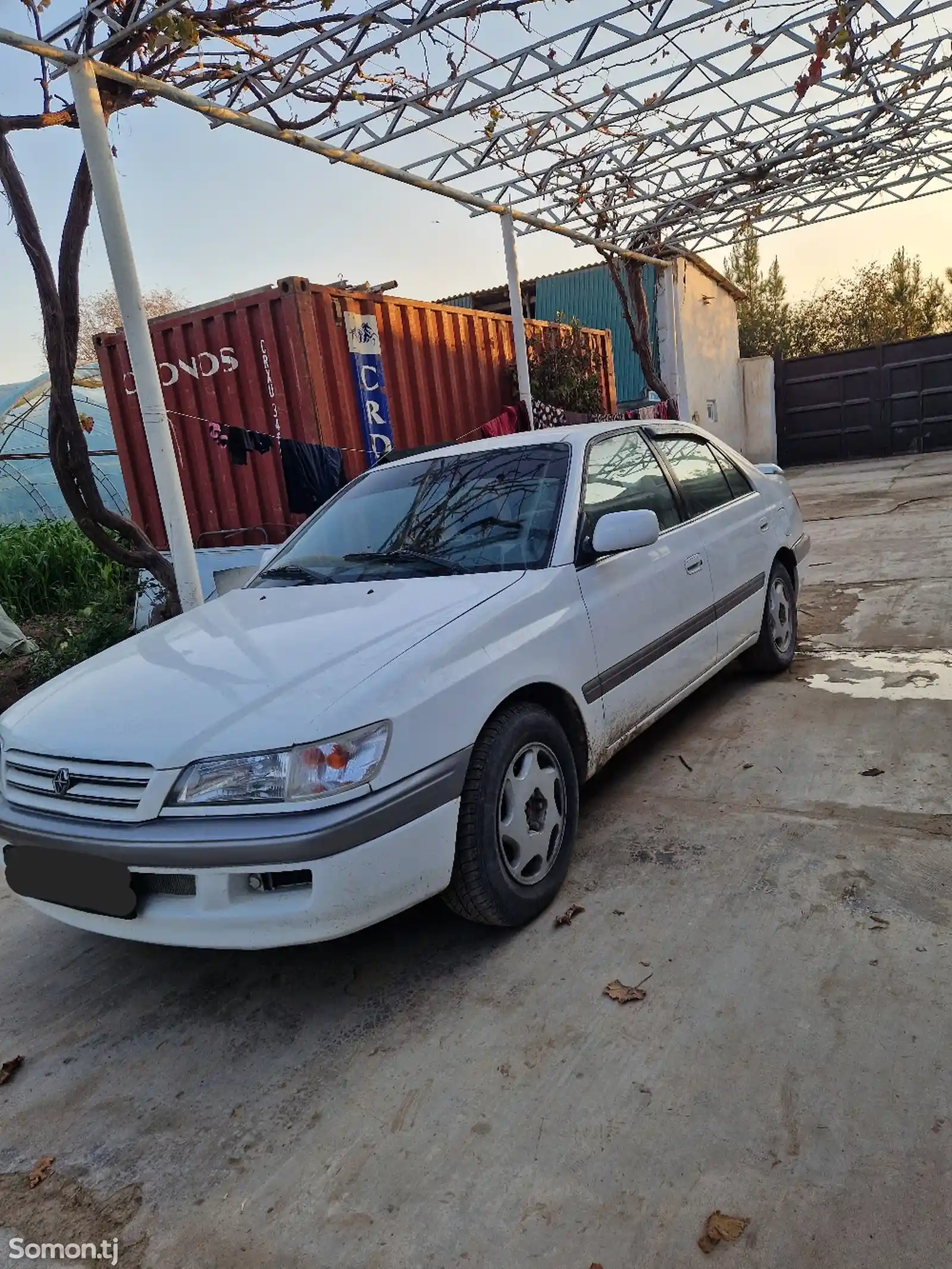 Toyota Corona, 1996-3