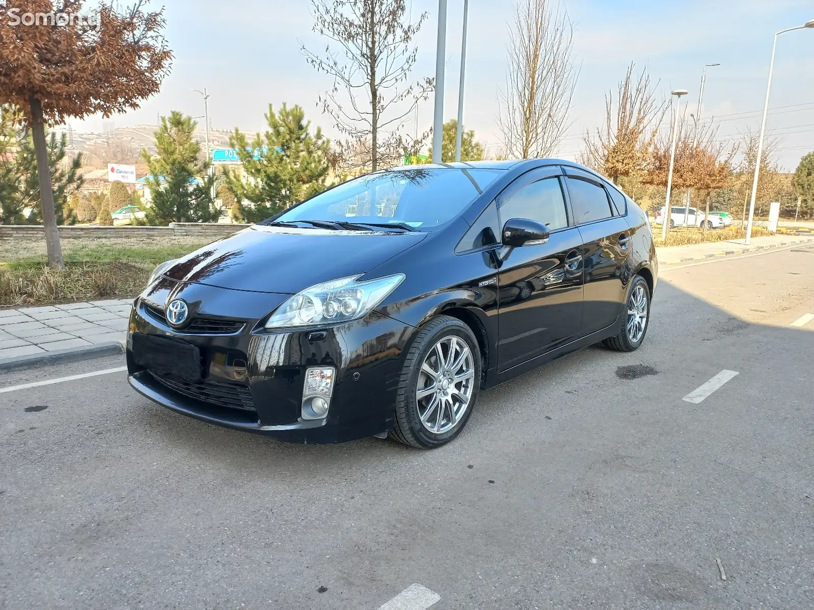 Toyota Prius, 2010-1