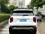 Hyundai Palisade, 2021-4