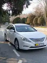 Hyundai Sonata, 2010-3