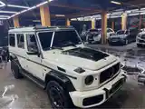 Mercedes-Benz G class, 2017-9