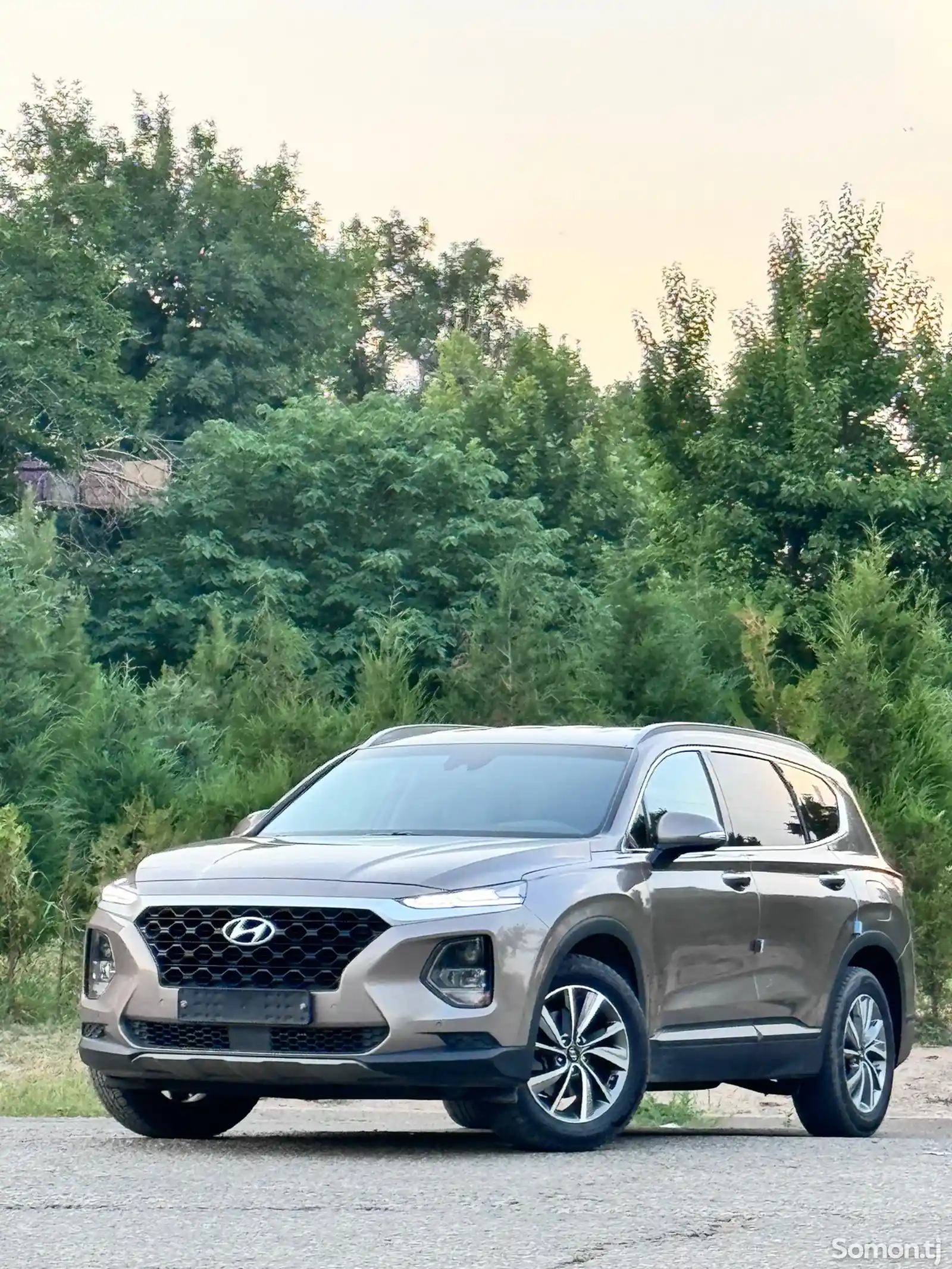 Hyundai Santa Fe, 2018-1