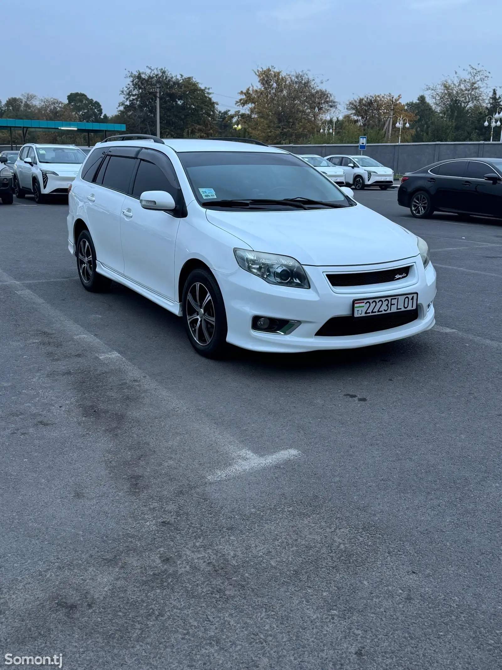 Toyota Fielder, 2008-1