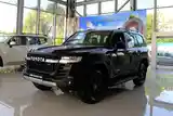 Toyota Land Cruiser, 2023-3