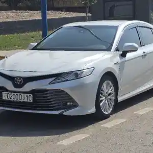 Toyota Camry, 2019