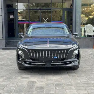 Hongqi E-QM5, 2024