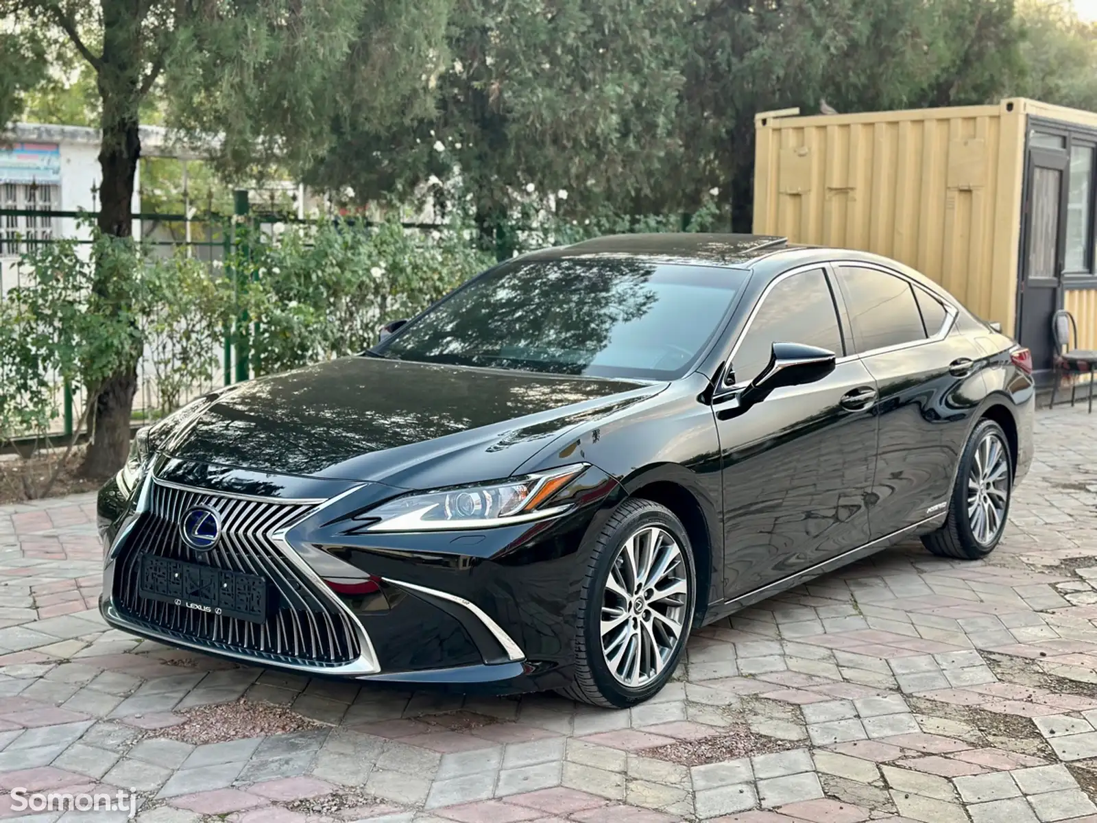 Lexus ES series, 2020-2