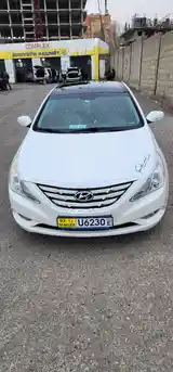 Hyundai Sonata, 2010-10