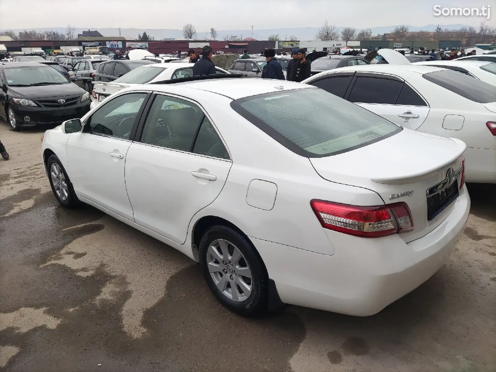 Toyota Camry, 2009-1