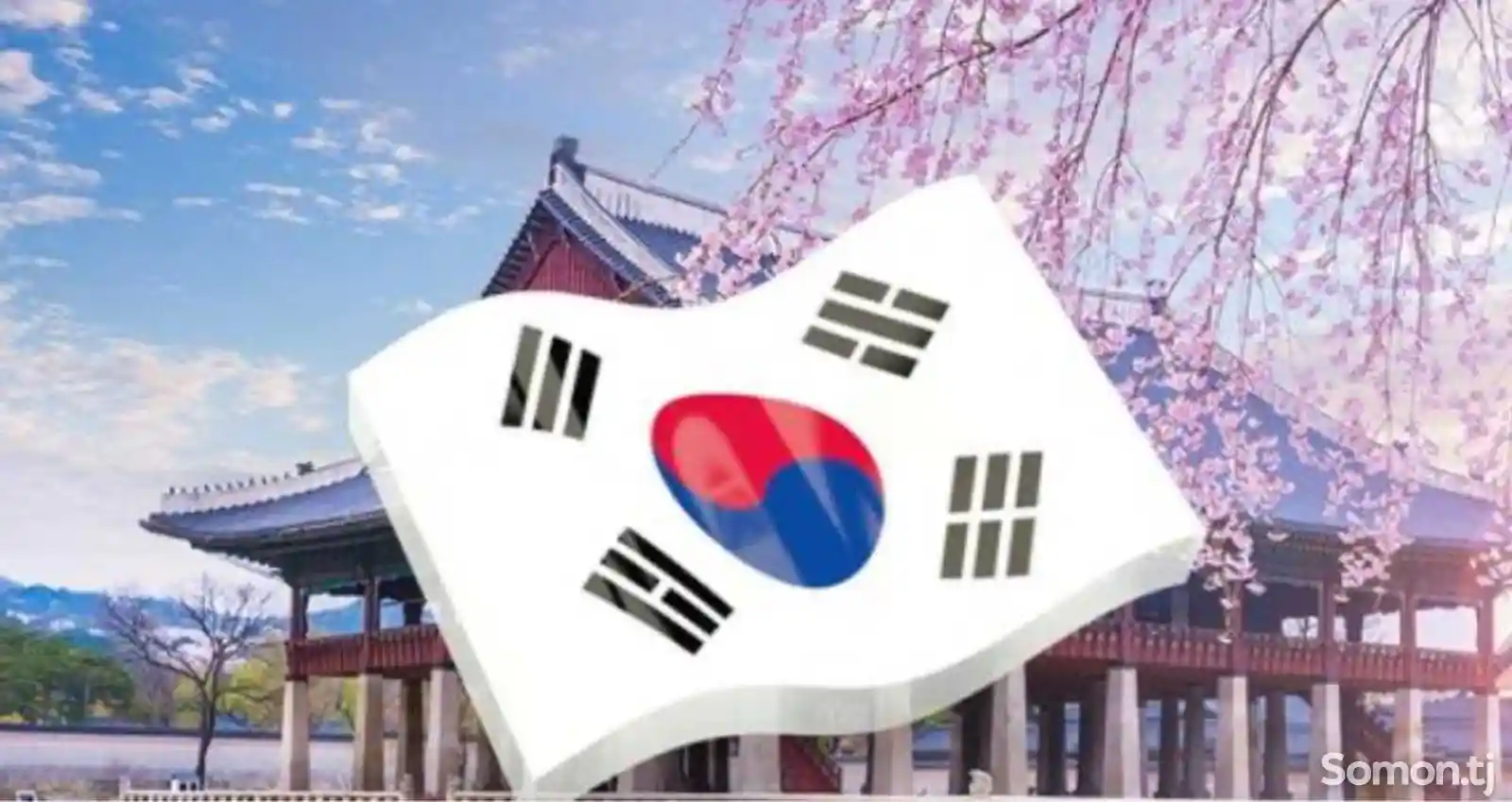 Услуги репититора по корейскому языку