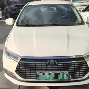 BYD Qin EV, 2020