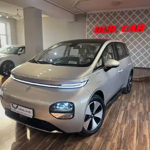 Wuling Bingo plus, 2024