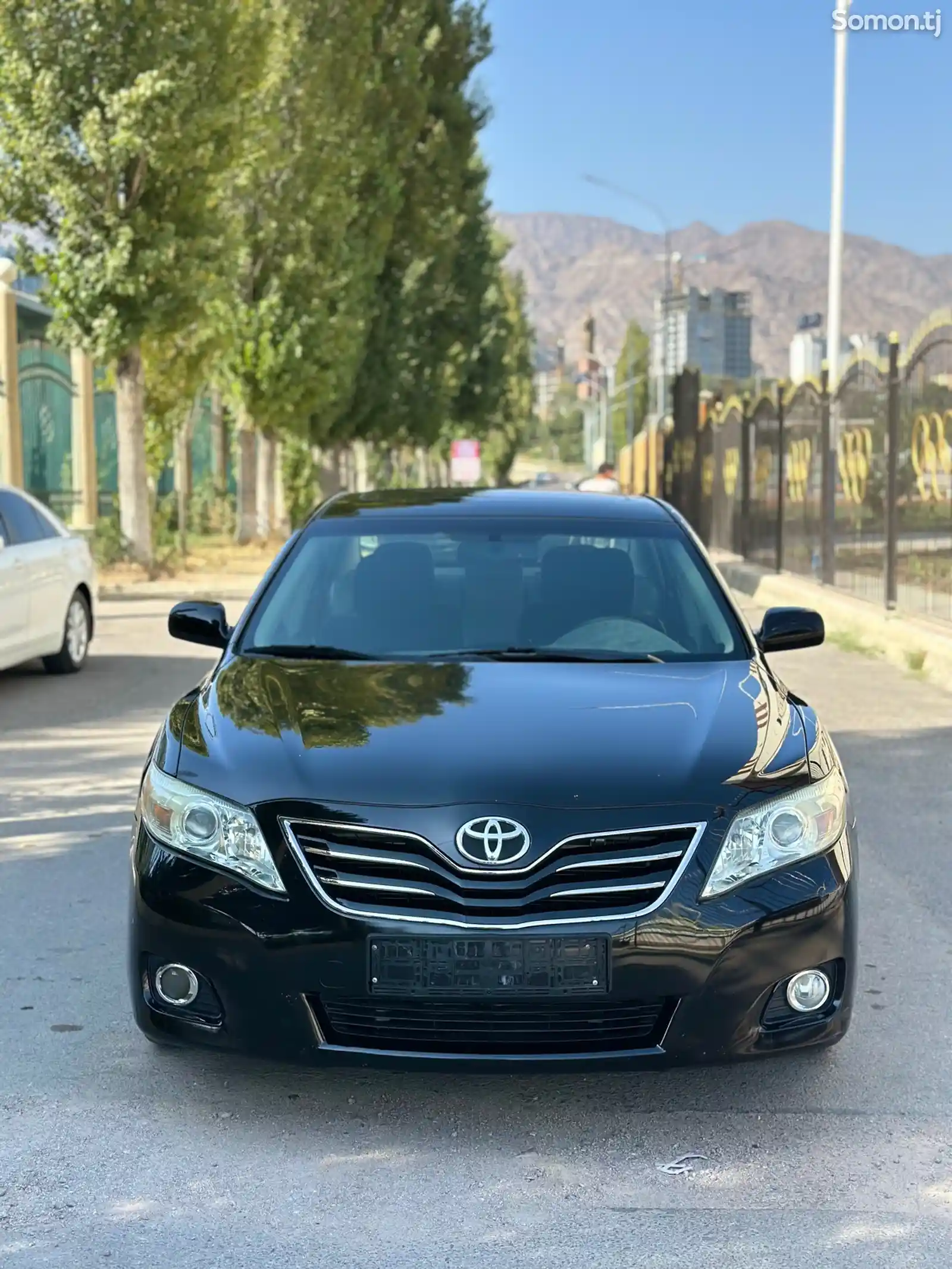 Toyota Camry, 2010-1