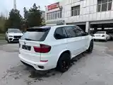 BMW X5, 2011-5