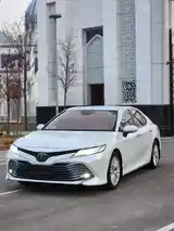 Toyota Camry, 2019-3