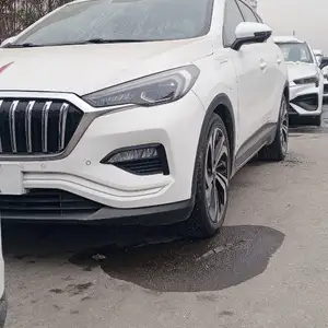 Hongqi E-HS3, 2019