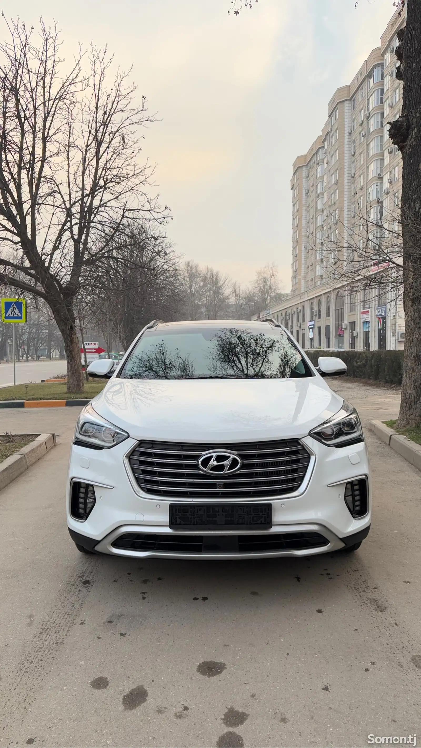 Hyundai Santa Fe, 2018-1