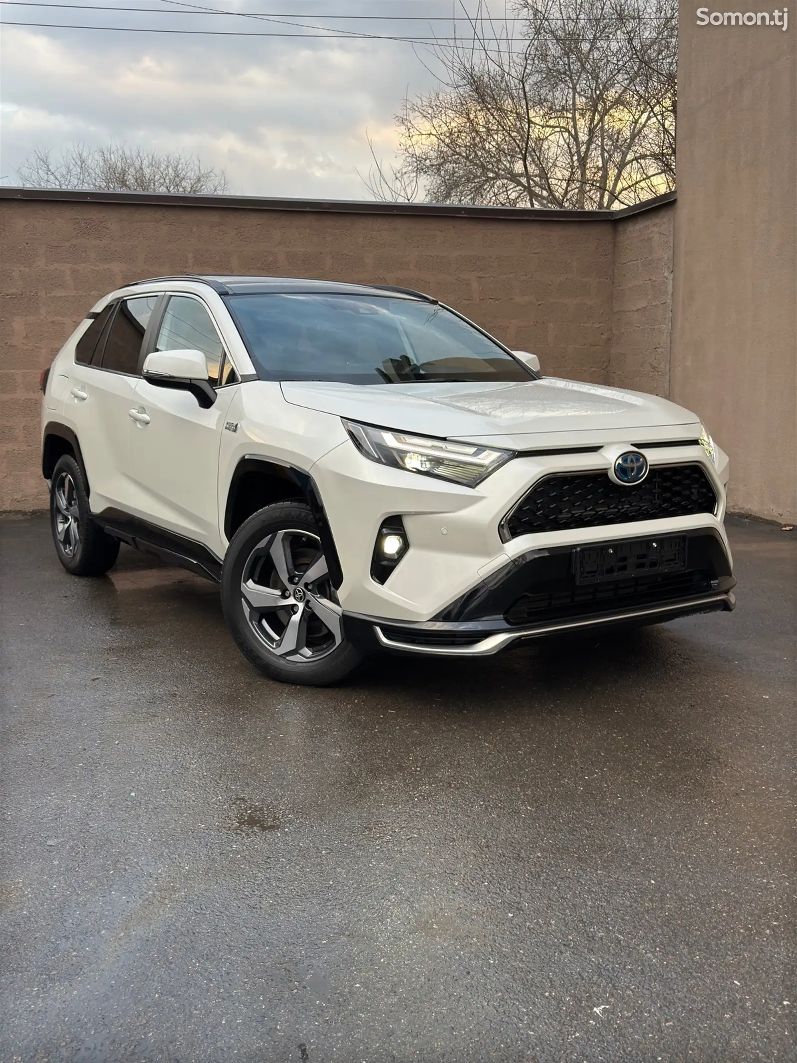 Toyota RAV 4, 2023-1