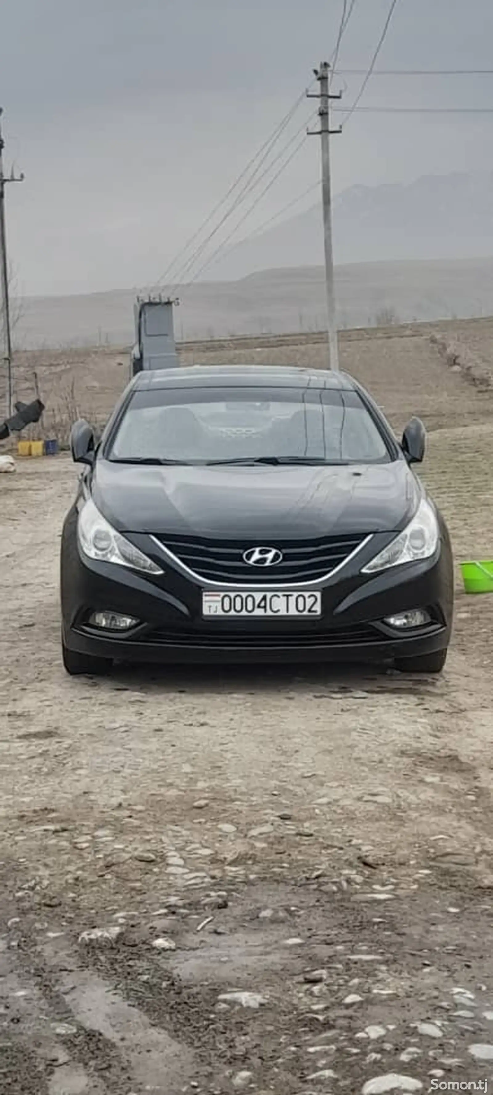 Hyundai Sonata, 2010-1