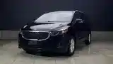 Kia Carnival, 2014-3