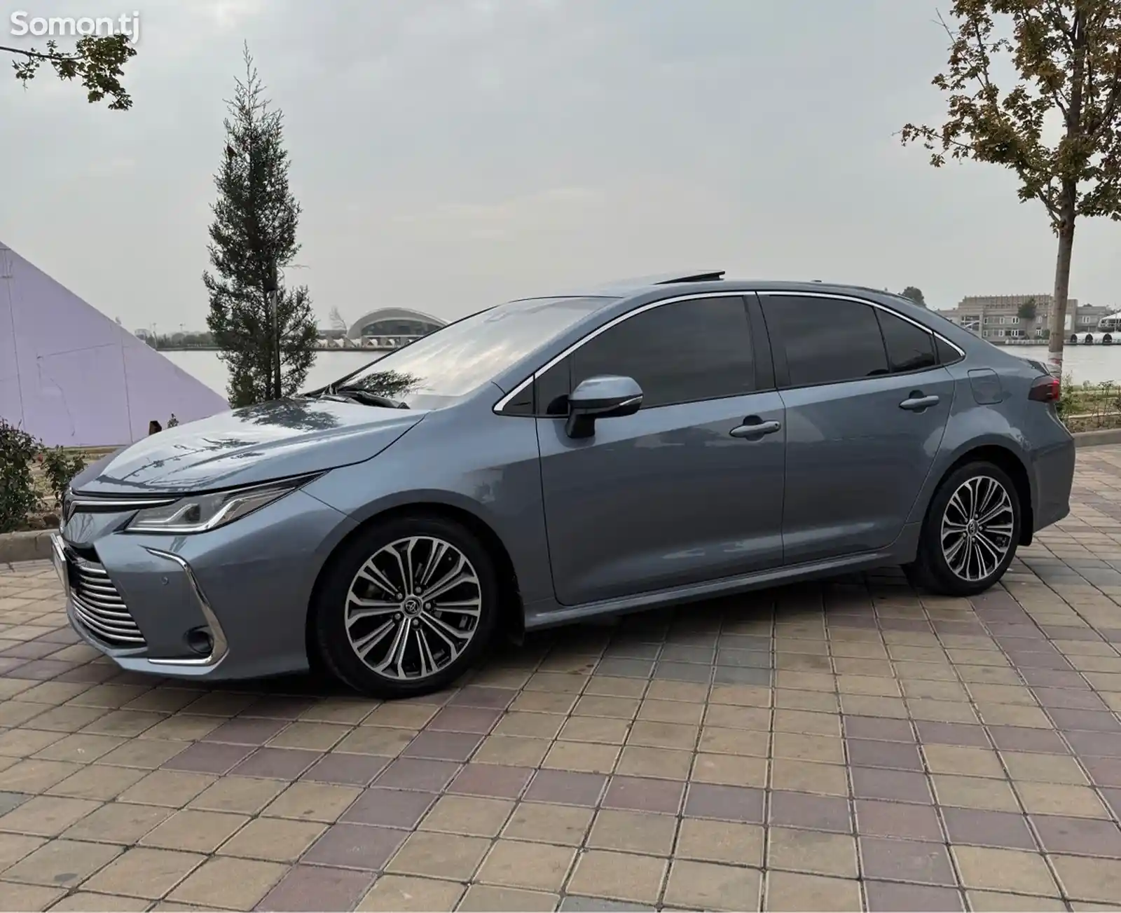 Toyota Corolla, 2019-3