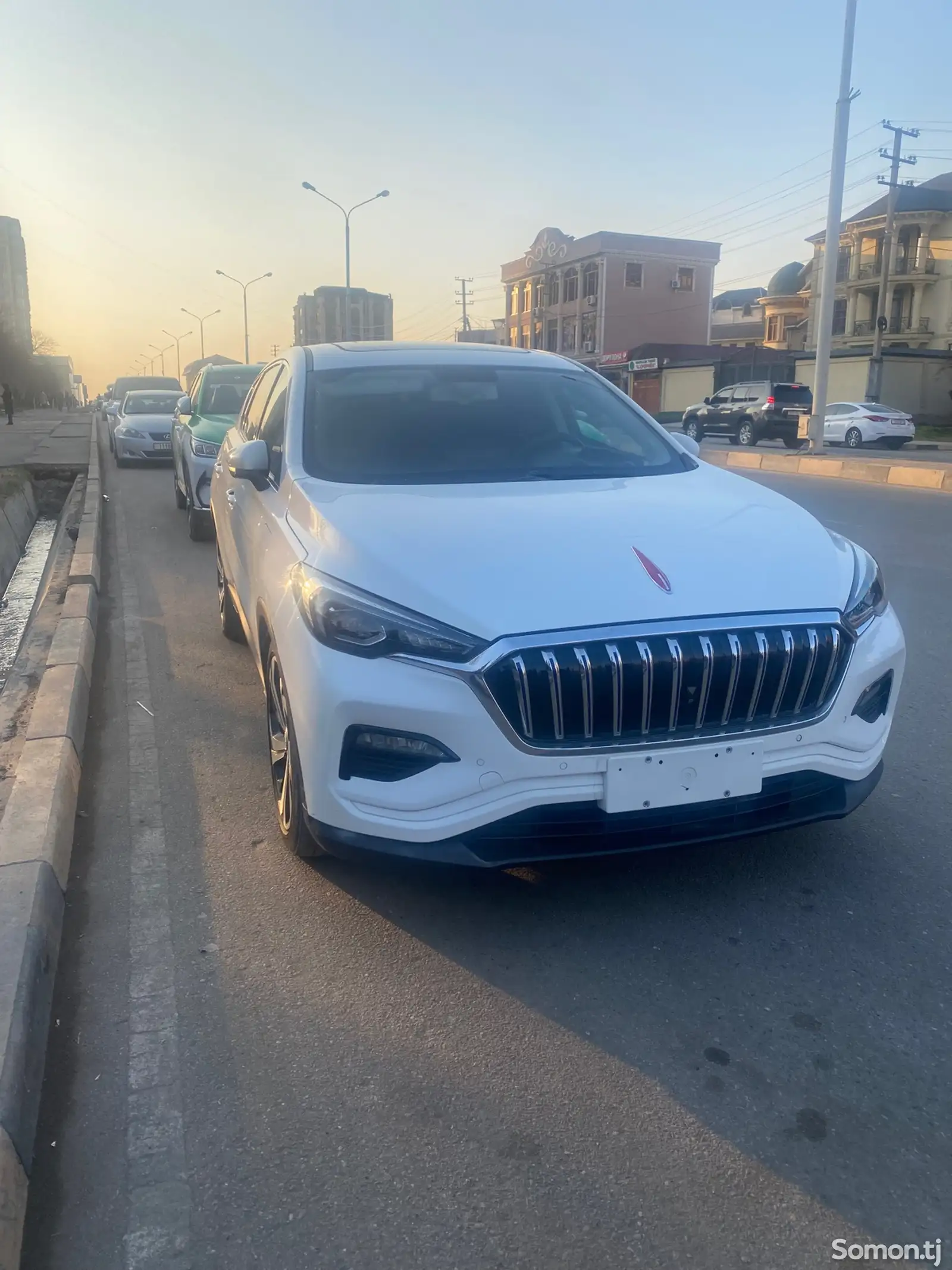 Hongqi E-HS3, 2019-1