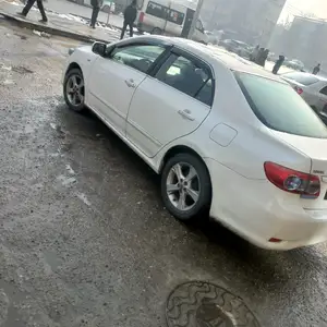 Toyota Corolla, 2011