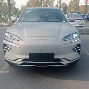 BYD Song Plus Flagship, 2024