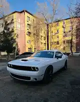 Dodge Challenger, 2019-3