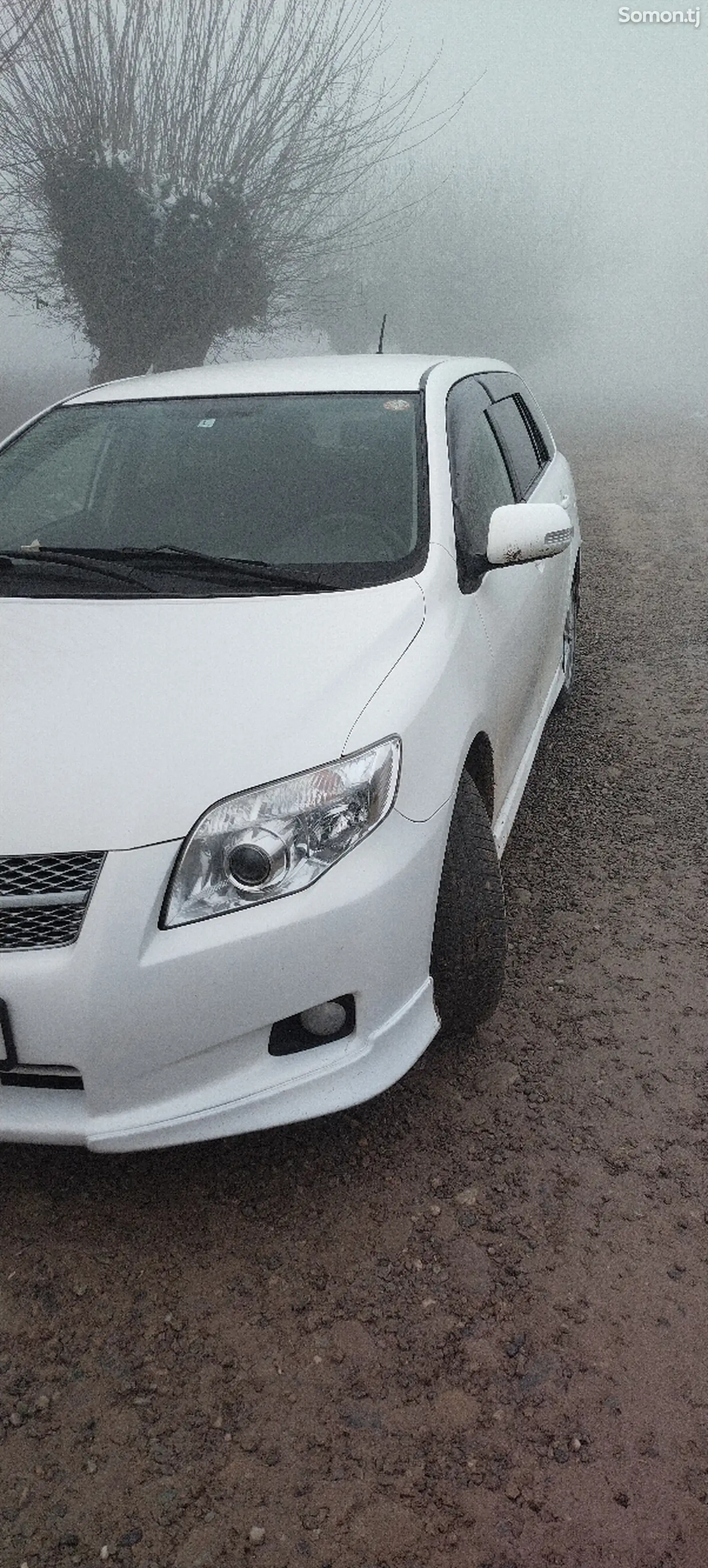 Toyota Fielder, 2008-1