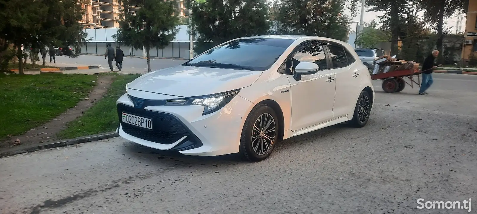 Toyota Corolla, 2020-1