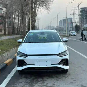 BYD E2, 2024