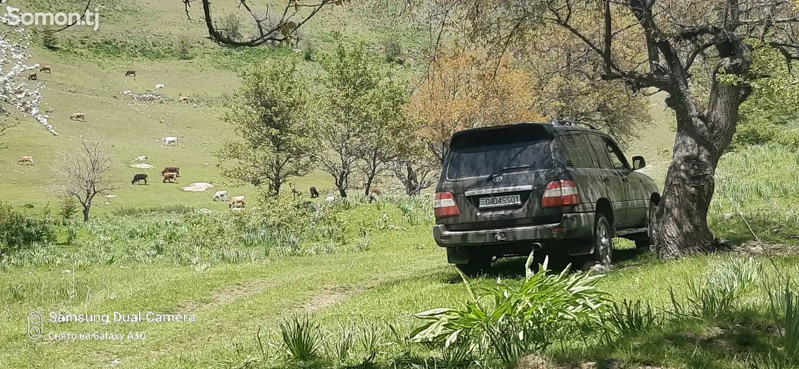 Toyota Land Cruiser, 2007-3