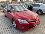 Toyota Camry, 2010-4