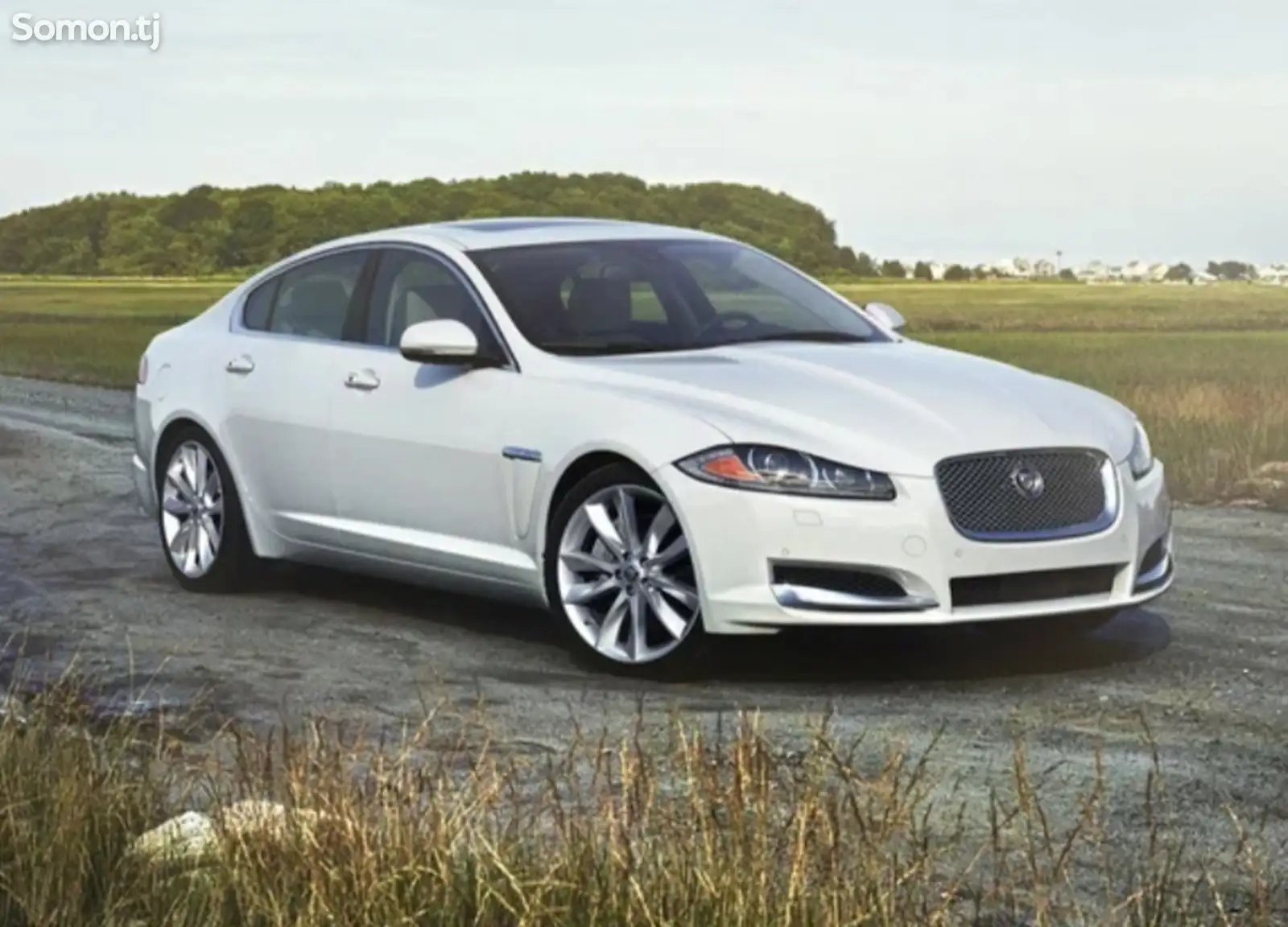 Лобовое стекло Jaguar XF